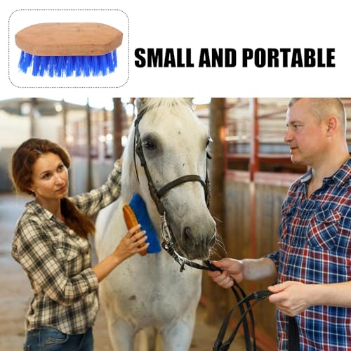 Gadpiparty Stiff Bristle Grooming Brush and Shedding Comb, 15.5 X 5.5 Inches, Blue, Livestock Cleaning Supply for Equine and Cattle Stable Care