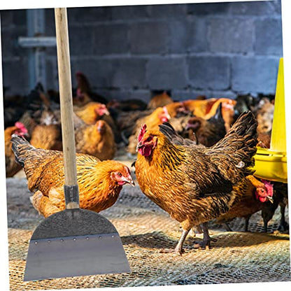 DECHOUS Manual Shovel for Cleaning Spade for Chicken Coop and Henhouse Heavy-Duty Cleaning Tool Long Handle for Farm Use - size: 30X27X2.5cm