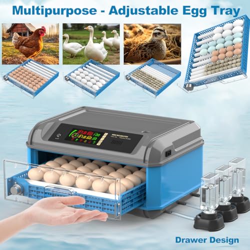 Egg Incubator for Hatching Eggs - Chicken Egg Incubator with Automatic Egg Turning, Humidity Control, Water Adding System, Egg Candler, Ideal for Chicken, Duck, Quail Eggs (24 Eggs) - size: 22 Eggs