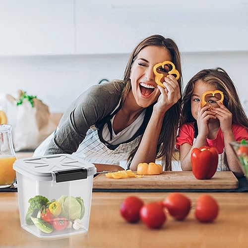 Flour Container - Rice Dispenser 10lbs/5kg/5.3qt Food Cereal Container Bins with Measuring Cup for Household Pantry Organization (10lbs) - color: 5KG