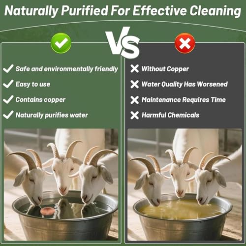 Copper Waterer Cleaning Disc, All Season Livestock Water Purifier Tray Keeps Water Clean for Poultry, Dogs & Cattle - size: sheep