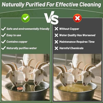 Copper Waterer Cleaning Disc, All Season Livestock Water Purifier Tray Keeps Water Clean for Poultry, Dogs & Cattle - size: sheep