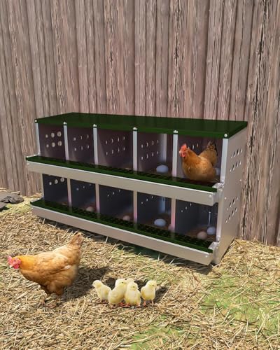Chicken Nesting Boxes - 10-Hole Metal Chicken Nesting Boxes | Waterproof & Rustproof Laying Boxes for Hens,with Ventilation & Perch, Wall-Mountable Roll Away Egg Laying Box for Hens - color: Green, size: 10 holes