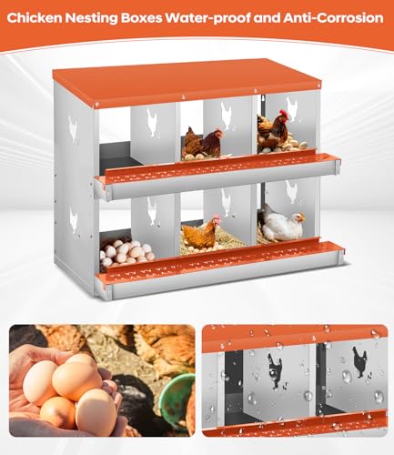 Garvee Space-Saving Metal Chicken Nesting Box - 6 Compartments, Wall Mounted, Roll Away, Easy Egg Collection, Orange Red, No Legs - size: 8 Compartment Chicken Nesting Box