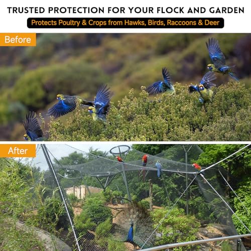 Heavy Duty Bird Netting for Chicken Coop with 1" Mesh, 50x50 ft Reinforced HDPE Poultry Netting, Durable & Reusable Chicken Netting for Hawks, Predator Proof for Farm, Fence, Garden & Orchard - style: 50' x 50' - 1"