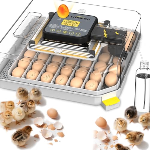 Egg Incubator 48 Eggs Automatic Egg Turning Chicken Incubators for Chicken, Ducks, Goose, Pigeon, Quail, Parrot Incubator for Farm - size: 48 chicken eggs