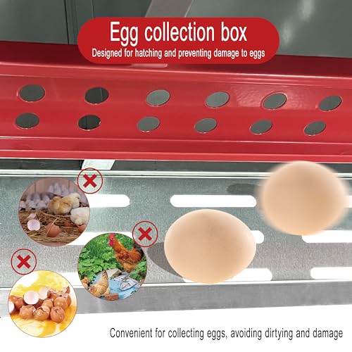 XINYI Chicken Nesting Boxes for Laying Eggs, Metal Coop for 3 Chickens,Roll Away Nesting Boxes,Easy Egg Collection, Brooder Box for Rabbit, Squirrel, Parakeet, Owl, Cockatiel, Robin - size: 3 Compartments