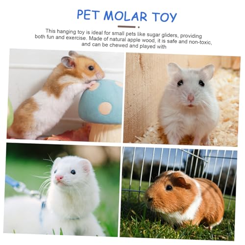 Swing Chew for Small Pets Large Hanging Hamster and Guinea Pig Climbing Molar Grinding Plaything Bunny Chewing and Foraging Activity Platform
