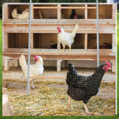 Wenqik Large Chicken Perch Chicken Roosting Bars for Coop Easy Installation Ladder for Backyard Poultry Galvanized Wood Entertaining Roost Toys for Hen Coop Accessories(55'' L x 41'' W)