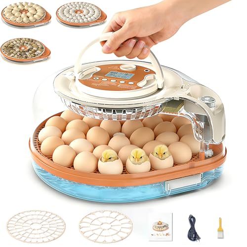 HOWOOlUA 26 Egg Incubator for Hatching Eggs withAuto Turn, Temp & Humidity Control, Built-in CandleLarge Capacity Egg Incubator for Chicken Duck Goose Eggs - color: 26-eggs
