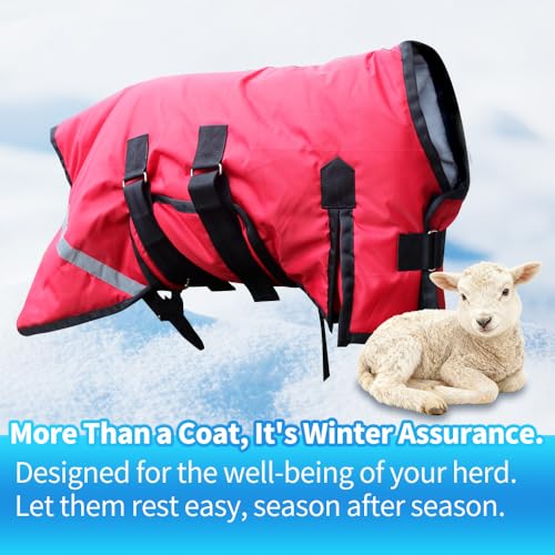 Winter Goat Blanket with Adjustable Belly Wrap for Teenage Lambs (4-8 Months), Adult Goats, Sheep, Medium/Large Breed Dogs, Calves & Mini Pigs, 1680D Water Resistant, 150g 【25.5” Back】 - color: Red, size: Small