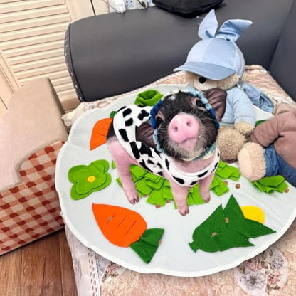 Snuffle Mat for Mini Pig,Pig Toys for Mini Pigs,Mini Pig Supplies,Pet Treats Feeding Mat,Puzzle Toys Encourages Natural Foraging Skills,23 X 23 Inches(White and Green)