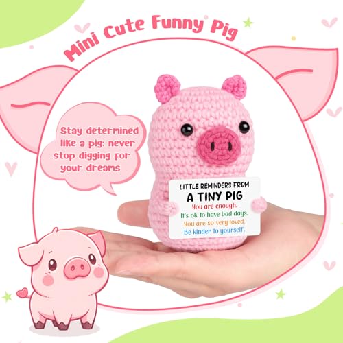 GevGuxLuo Positive Crochet Pink Pig Birthday Gifts for Women, Back to School Inspirational Cheer Support with Affirmation Cards for Teens Girl Women Friend Sister Daughter Trendy Stuff Cute Decor - style: Little Reminders