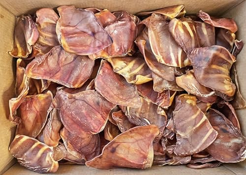 Scoochie Pet Brazilian Pig Ears - All-Natural, 75 Pack Pig Ears for Dogs - size: 75 Count