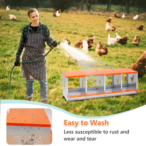 Heavy-Duty Wall-Mounted Metal Nesting Box for Backyard Chickens and Ducks with Ventilation and Easy Egg Access (4-Orange)