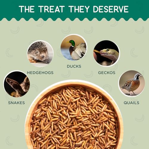 4 lb Black Soldier Fly Larvae for Chickens - High Protein Chicken Feed with 75x More Calcium Than Mealworms - Healthy Poultry Treats for Ducks, Birds - Resealable Bag for Freshness