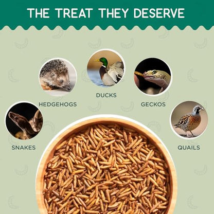4 lb Black Soldier Fly Larvae for Chickens - High Protein Chicken Feed with 75x More Calcium Than Mealworms - Healthy Poultry Treats for Ducks, Birds - Resealable Bag for Freshness