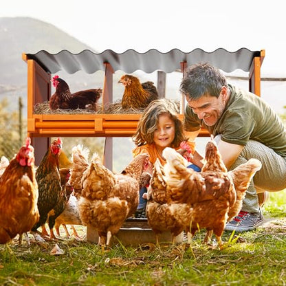 6-Compartment Chicken Nesting Boxes, Spacious for Large Breeds, Premium Pine Wood & Weather-Resistant PVC Sloped Roof, Safe No Sharp Edges for Laying Hens - size: 40.4"L x 12.2"W x 29.8"H