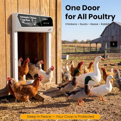 Automatic Chicken Coop Door Solar Powered, Roll-Up Auto Chicken Door Opener with Light Sensor, Timer & Remote Control, Large Opening, Anti-Pinch Safety, Aluminum Weatherproof for Chickens & Ducks