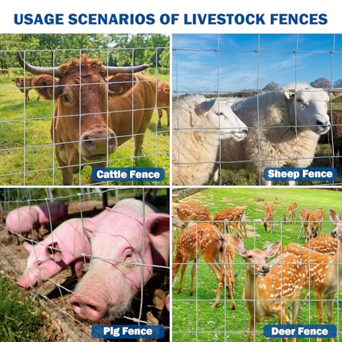 Galvanized 14 Gauge Cattle Livestock Wire Fence, Heavy Zinc Coating Welded Field Barrier 4ft & 5ft x 164ft, Hog Goat Sheep Deer Horse Fencing for Pasture Yard Garden Agriculture (5×164ft) - size: 5×164ft