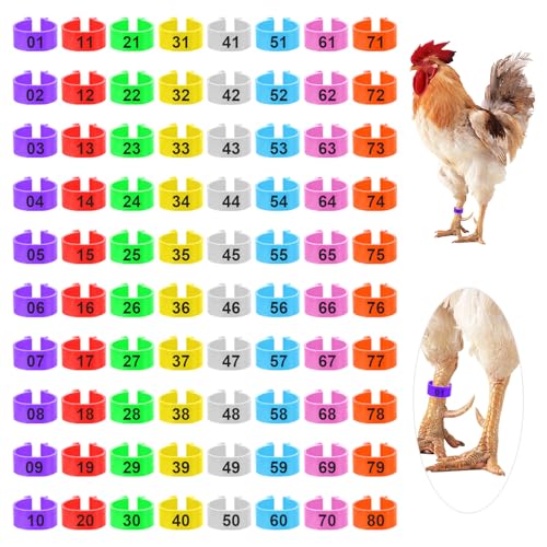 80 Pcs Chicken Leg Rings, 16mm Adjustable Chicken Leg Bands with 8 Colors Colorful 01-80 Numbered Duck Poultry Foot Identification Tags for Ducks Bantam Guinea Pigeons Goose Gamefowl