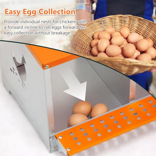 Galvanized Steel Chicken Nesting Box 4 Bay Wall Mounted Predator Proof for Hens and Ducks Easy Egg Collection Vented Design Easy Assemble Orange Coop Equipment (4 Compartment) - size: 42.5"L x 17.0"W x 15.0"H