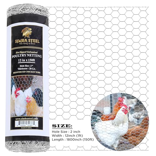 Chicken Wire 12 in x 150 FT x 2” Mesh x 20GA | Poultry Wire Netting | Hot Dipped Galvanised | Hexagonal Galvanized Mesh for Chicken Coop, Rabbit Cage, Fence Barrier PM12x150x2 - style: 12 in x 150 FT x 2 in