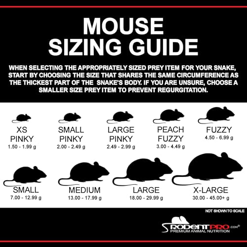 RodentPro Frozen Reptile Feeder White Large Mice (50 Count)