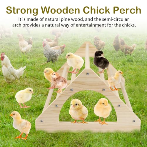 Large Wood Pine Chick Perch, 14.4" L x 10.6" W x 6.7" H Wooden Perch Chicks Toys for Coop and Brooder, Strong Chicken Jungle Gym Roosting Bar for Baby Chicks