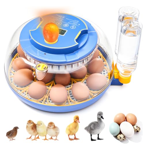 Incubators for Hatching Eggs - 18 Egg Capacity, Egg Incubator with Automatic Egg Turning and Temperature Control, Incubator for Chicken, Duck, Goose, Quail, 360° Full View, Home Farm Classroom Use - color: Blue - 18 Egg