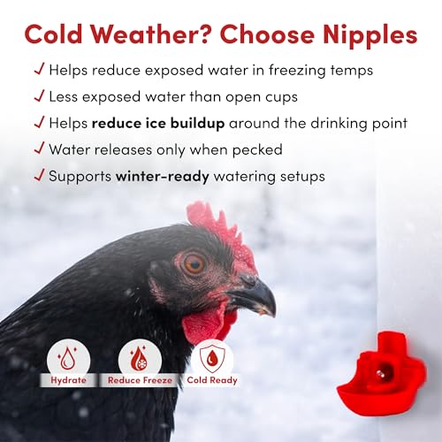 RentACoop 32oz (1 Liter) Chicken Drinker with 2 Versatile Nipples - Ideal for Baby Chicks, Quail, Small Birds, and Ducklings - Easy-to-Use Chicken Waterer Solution - Ideal for Coops and Cages