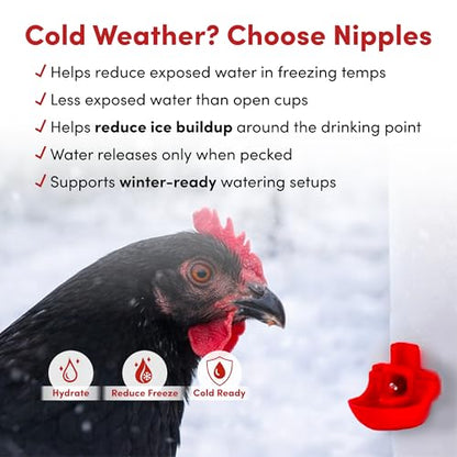 RentACoop 32oz (1 Liter) Chicken Drinker with 2 Versatile Nipples - Ideal for Baby Chicks, Quail, Small Birds, and Ducklings - Easy-to-Use Chicken Waterer Solution - Ideal for Coops and Cages