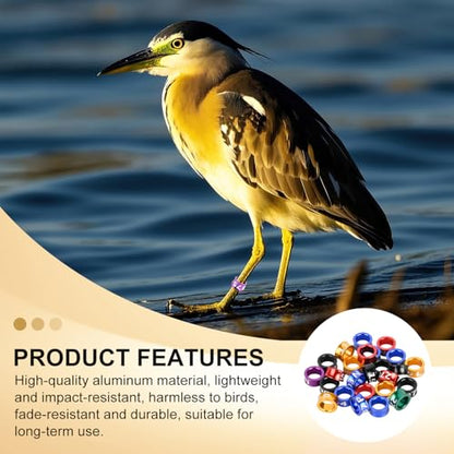 6.0mm Bird Leg Bands，Multicolor Aluminum Identification Rings for Xuanfeng, Small Sun, 50 Packs with Fade-Resistant Engravings - size: 6.0MM