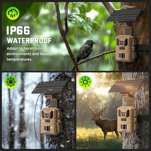 WiFi Trail Camera, 4K 64MP Game Cameras with Night Vision Motion Activated Waterproof IP66, 0.1s Trigger Trail cam with 32GB SD Card, Wildlife Camera with Built-in Battery Solar Panel