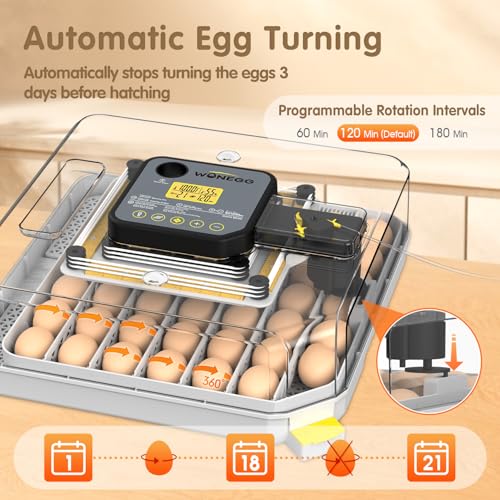 Egg Incubator 48 Eggs Automatic Egg Turning Chicken Incubators for Chicken, Ducks, Goose, Pigeon, Quail, Parrot Incubator for Farm - size: 48 chicken eggs