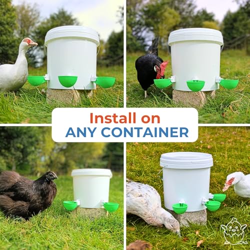Lil'Clucker - Large Automatic Chicken Waterer Cups Suitable for Ducks, Geese, Turkeys, and Bunny Rabbit - Water Feeder Kit - Poultry Waterer (Green, 5 Pack) - color: Green, size: 5 Pack