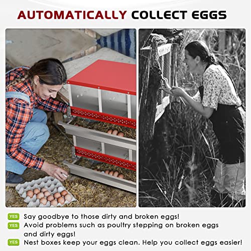 Nesting Box for Chickens, Roll Away Chicken Nesting Boxes with Easy Egg Collection Heavy Duty Metal Laying Box for Hens - 10 Compartment