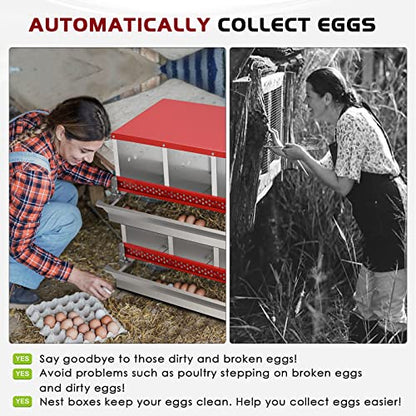 Nesting Box for Chickens, Roll Away Chicken Nesting Boxes with Easy Egg Collection Heavy Duty Metal Laying Box for Hens - 10 Compartment