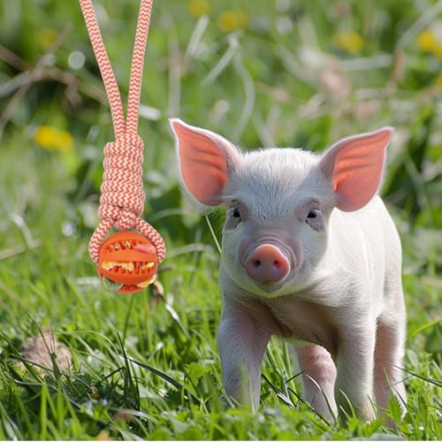 3 PCS Mini Pig Supplies Enrichment Toys, Hanging Treat Ball with Rope, Interactive Plastic Food Chew Ball for Pellets & Grains for Pet Pig