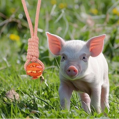 3 PCS Mini Pig Supplies Enrichment Toys, Hanging Treat Ball with Rope, Interactive Plastic Food Chew Ball for Pellets & Grains for Pet Pig