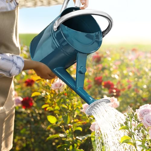 1 Gallon Metal Watering Can with Removable Spout, Nice Galvanized Steel Water Can for Indoor and Outdoor Plants (Ocean Blue) - color: Ocean Blue