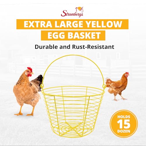 Extra Large Yellow Basket for Egg Collecting, Holds 15 Dozen Eggs, Metal Wire Holder for Farm Fresh Egg Collecting, Durable Poultry Supplies.