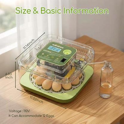 Incubator for Hatching Eggs with Turning,12 Eggs Automatic Incubator and Temperature Control Precise Humidity Control, 360° View Clear Window for Hatching Chicken, Quail Bird,Duck, Pigeon Eggs