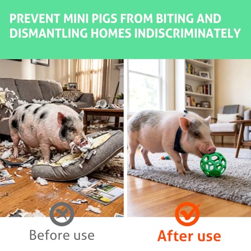 2-Pack Pig Treat Ball Toy – Chew Feed Ball with Hanging Rope | Suitable for farms, pigsties, and courtyards. Indoor and outdoor use. Enrichment toy for mini pigs to chew and play