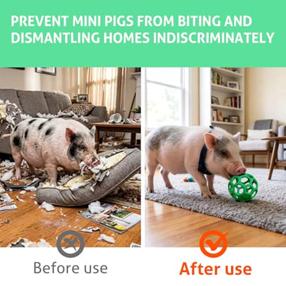 2-Pack Pig Treat Ball Toy – Chew Feed Ball with Hanging Rope | Suitable for farms, pigsties, and courtyards. Indoor and outdoor use. Enrichment toy for mini pigs to chew and play
