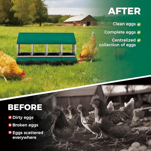 4 Hole Roll Away Chicken Nesting Box - Chickens Laying Box with Removable Tray, Easy Egg Collection & Cleaning, Metal Nesting Boxes for Backyard, Farm, Poultry Coop