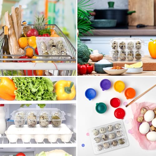 Remerry 120 Pcs Giant Quail Egg Cartons 12 Grids Clear Plastic Stackable Trays for Jumbo Quail Eggs, Pigeon Eggs, Small Poultry, Great for Home Fridge Storage, Farm, Market, Gift Box Packing