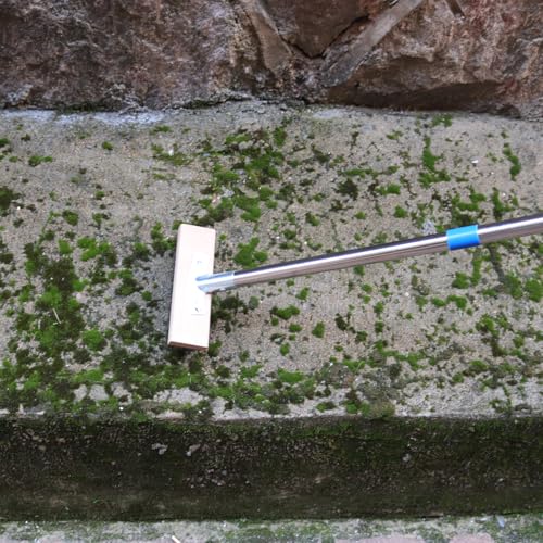 Stainless Steel Wire Scrub Brush with 63" Long Handle, 2PCS 12" Brush Heads, Heavy Duty Large Wire Brush, Stiff Metal Bristle Floor Scrubber, Patio Floor Cleaning, Wire Broom for Concrete, Deck, Moss - size: With 2PCS 12-inch brush head