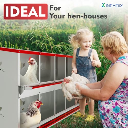 Chicken Nesting Boxes - 10 Compartment Metal Poultry Nest Box Wall Mount for Chickens, Hens, Ducks - Easy Egg Collection - Large Vented Holes Chicken Coop Equipment (10 Compartment)