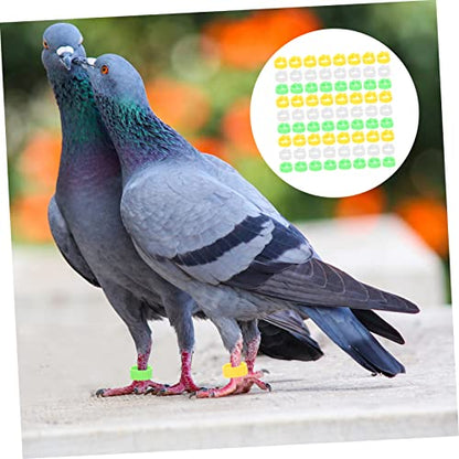 Totority 300pcs Bird Leg Bands Bright Color Foot for Poultry Identification Plastic Marking Bands for Chickens and Easy to Apply and